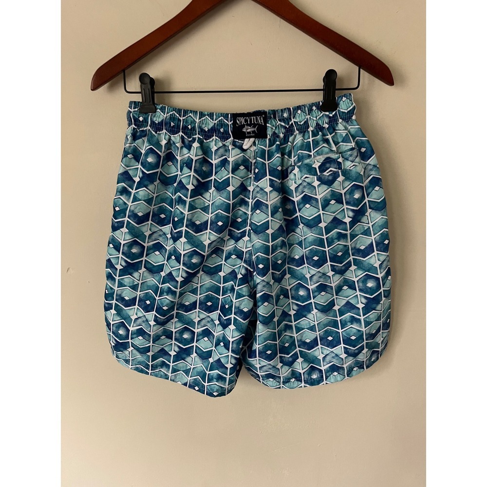 Spicy Tuna Mens Blue Geometric Hexagon Print Swim Trunks Mesh Lined Small - Picture 5 of 8
